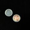 Pearl Plum Light Purple-100pcs