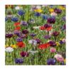 Decoupage Tissue Flower Field (Pack of 2)